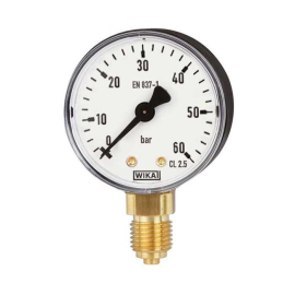 MANOMETAR 0-60 BARA FI 60 PEDROLLO RADI